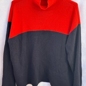 Everlane Red and Navy Turtleneck Sweater